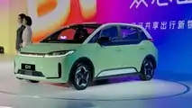 BYD D1 (DiDi)
