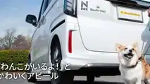 Honda'nın Köpeklere Özel Aksesuarları: Honda Dog