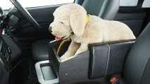 Toyota HiAce Dog Van Seat With Plush