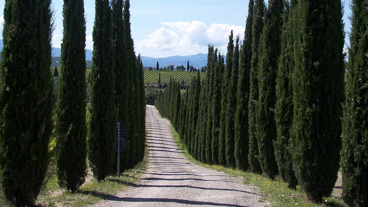 Le strade più belle d'Italia