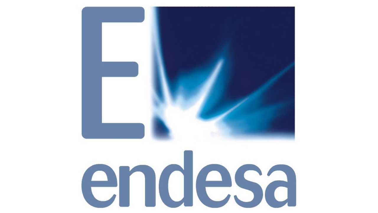 Endesa Helped Out Financially Too