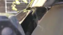 New Evidence Shows The Model 3 Really Has A Fender Rust Issue
