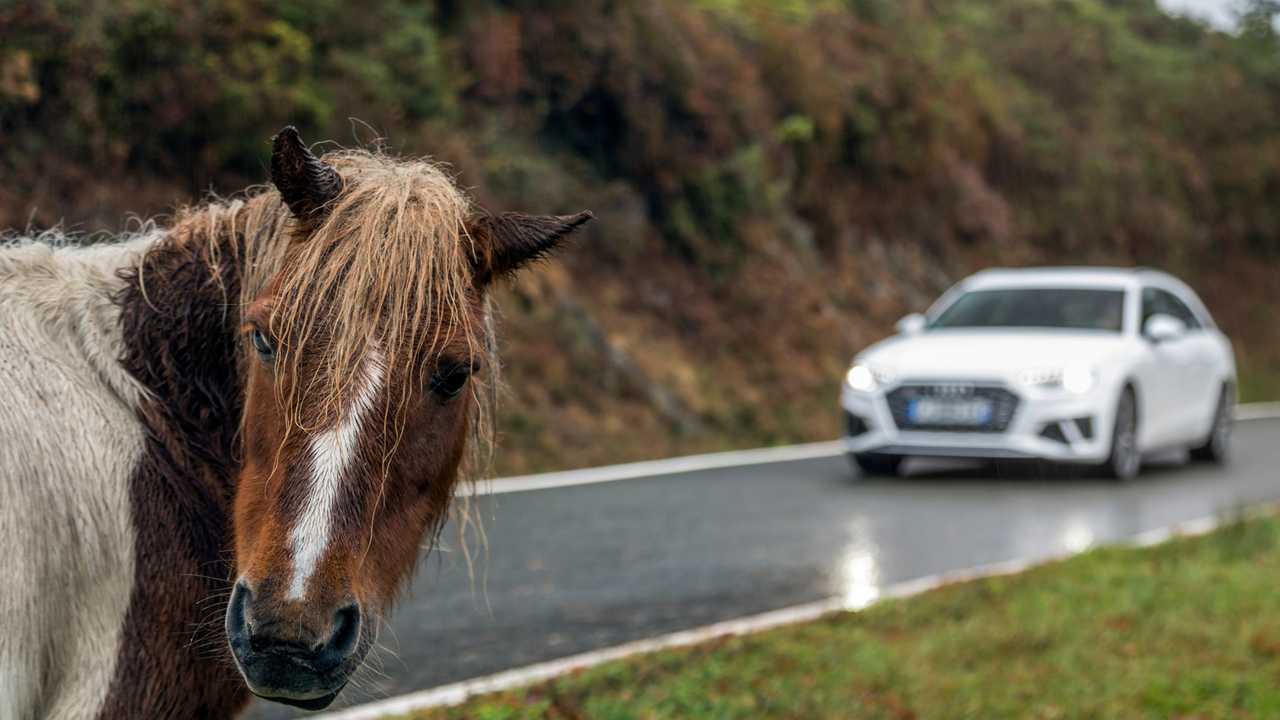 Essai Audi S4 Avant (2019)