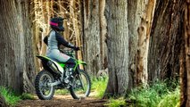 Bonus Round: Any Single-Cylinder Four-Stroke Dirtbike