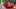 Toyota Yaris 2019 - Brasil