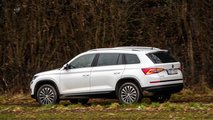 Der teuerste Kodiaq im Test