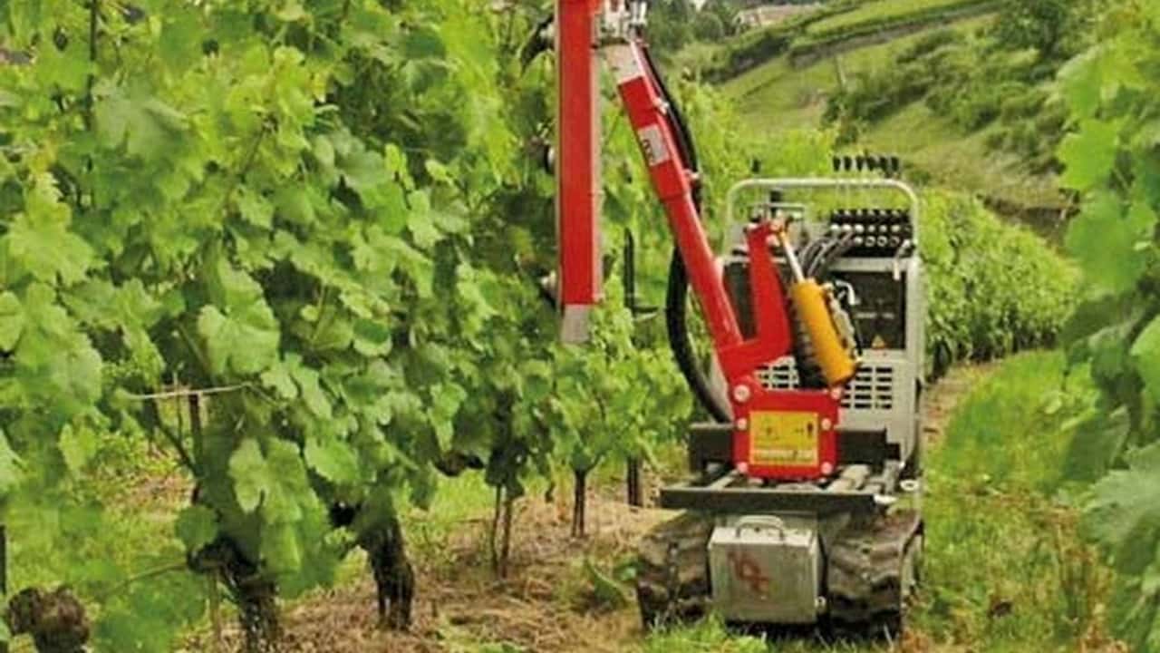 Rotair: gamma dumper Rampicar per agricoltura e vigneto