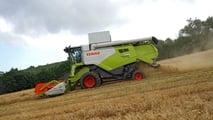 BCAA7 2025: come organizzare rotazione e diversificazione nei seminativi