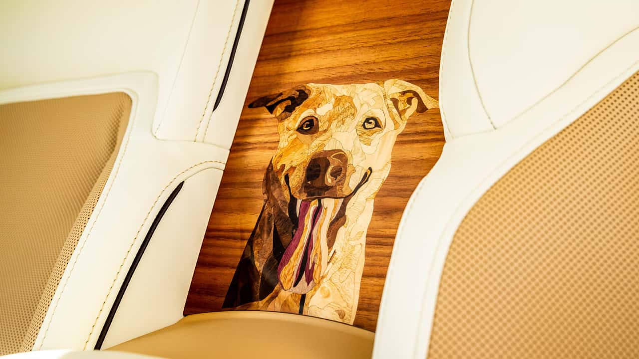 Cosa ci fa la foto di un cane dentro una Rolls-Royce da mezzo milione?