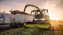 Jaguar 1200 Feldhäcksler von Claas erzielt neuen Weltrekord