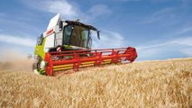 CLAAS Trion 730