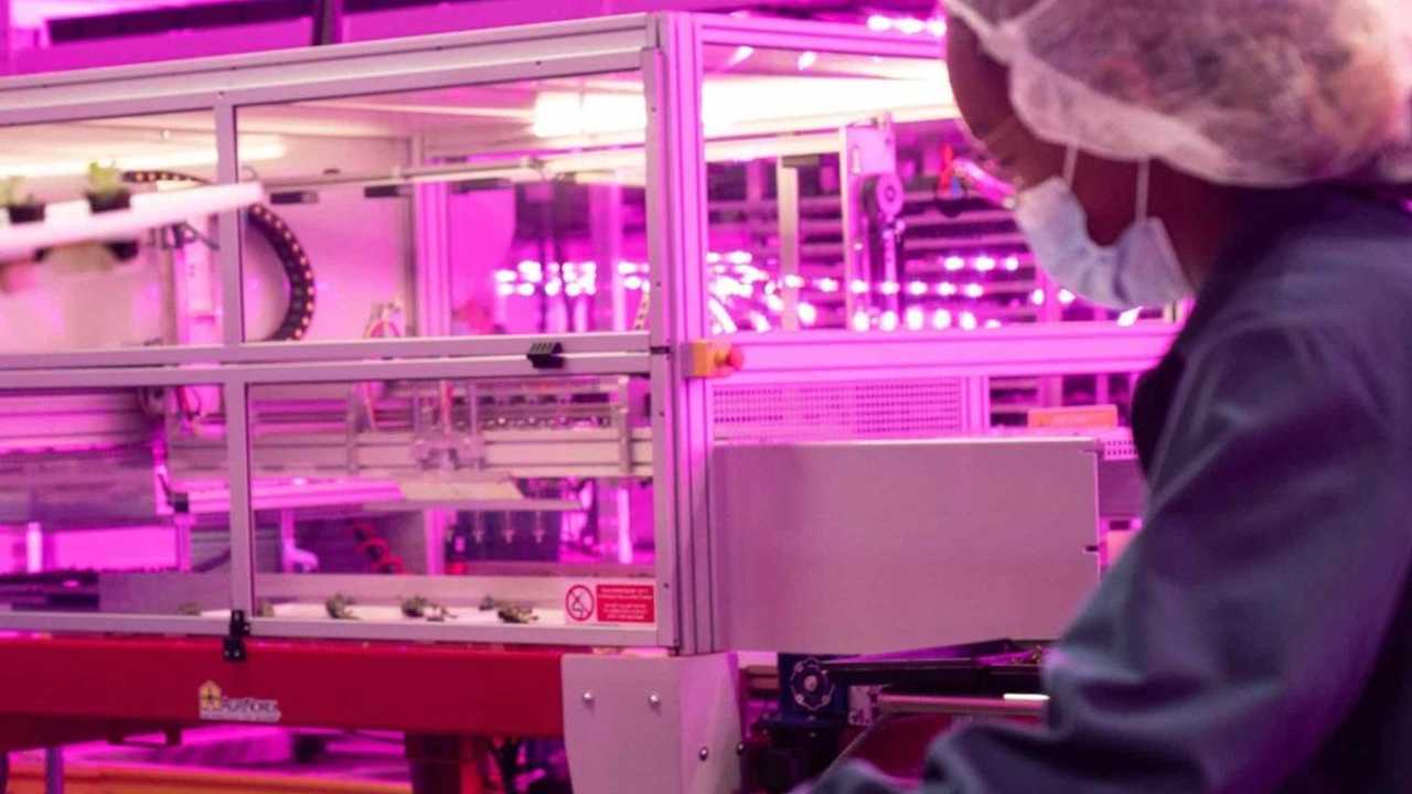 Kalera e Modula: la Supertower per le fragole