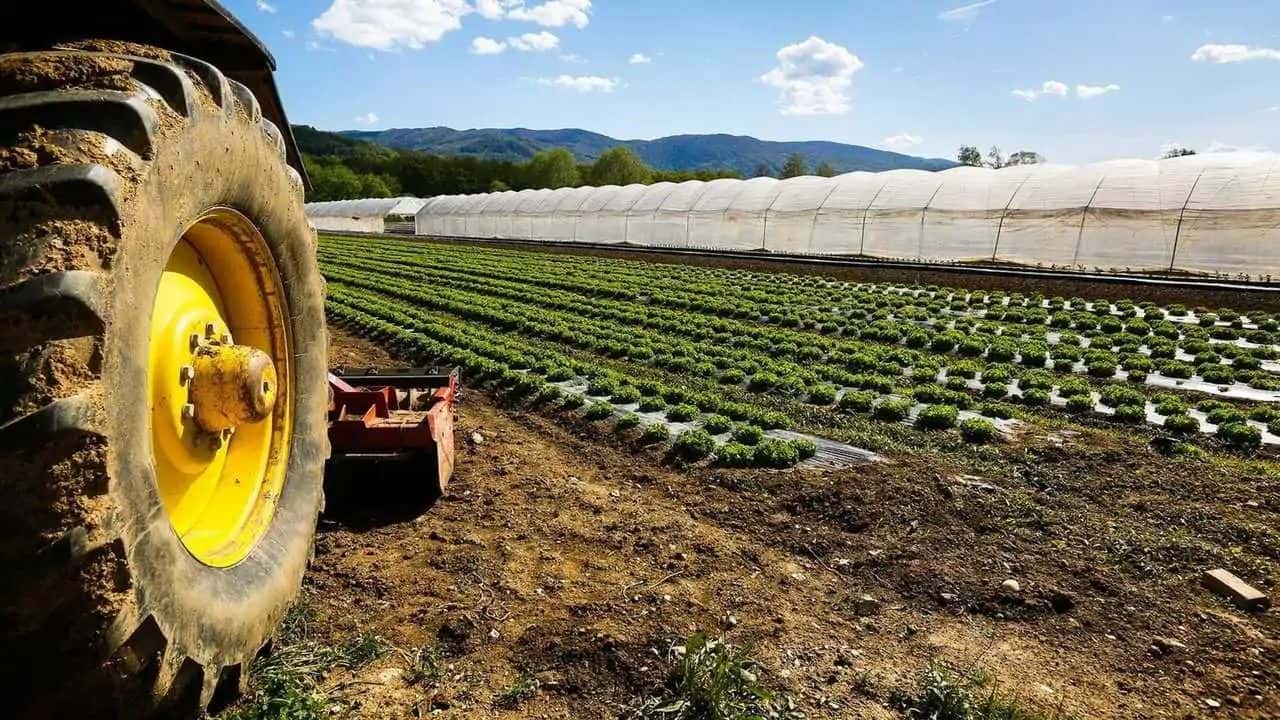 Versamento imposte agricoltura: la proroga
