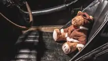 Bentley bears