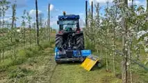 Attrezzature da vigneto e frutteto TOP per il 2024