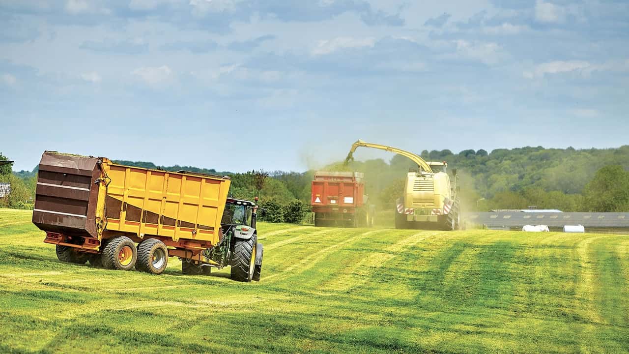 Crediti di carbonio e reddito agrario: novità fiscali per le imprese agricole e le Srl