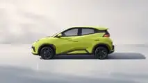 BYD Dolphin Surf