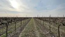 foto Orizzonti PMD Vario, il telaio portattrezzi frontale