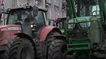 Proteste trattori Londra