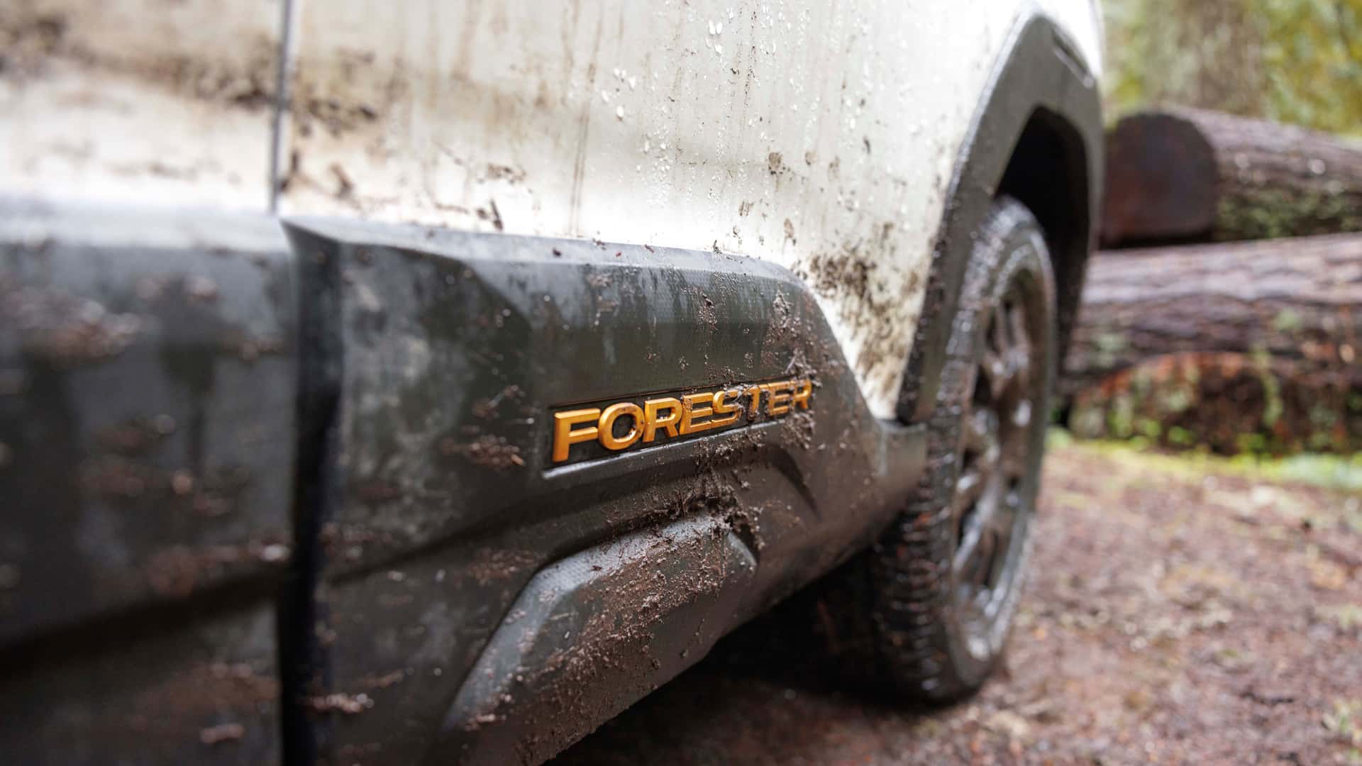 https://cdn.motor1.com/images/mgl/0eWmOp/s1/2025-subaru-forester-wilderness.jpg
