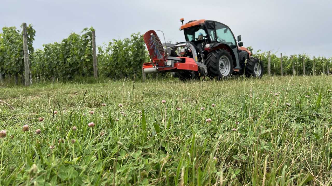 Goldoni Keestrack Q80 a Enovitis in campo