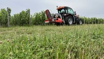 Goldoni Keestrack Q80 a Enovitis in campo