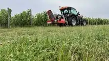 Goldoni Keestrack Q80 a Enovitis in campo