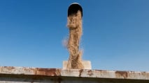 Scelta di ibridi di sorgo e regolazioni di seminatrici, mietitrebbie e logistica aziendale in rotazione tecnica con il mais