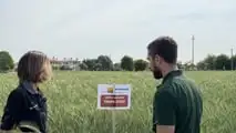 Prova varietale Seminard: dalla semina di novembre alla trinciatura, il confronto in campo tra frumento e triticale foraggeri.