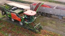 Come organizzare la raccolta meccanica del pomodoro nel 2026