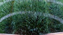 Trattore smart e fertilizzazione: ridurre i consumi di concime