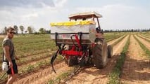 oncimazione integrata modulare del pomodoro da industria 2026