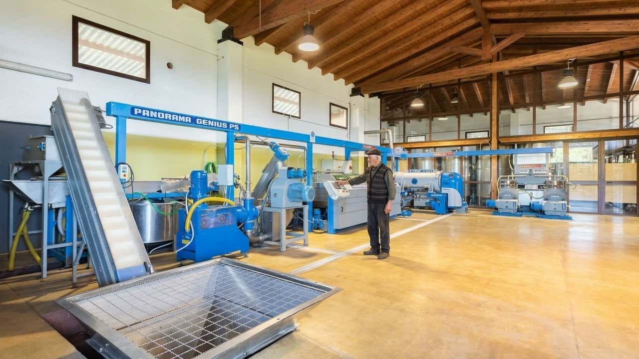 pnrr-frantoi-sardi-dove-sono-i-pagamenti