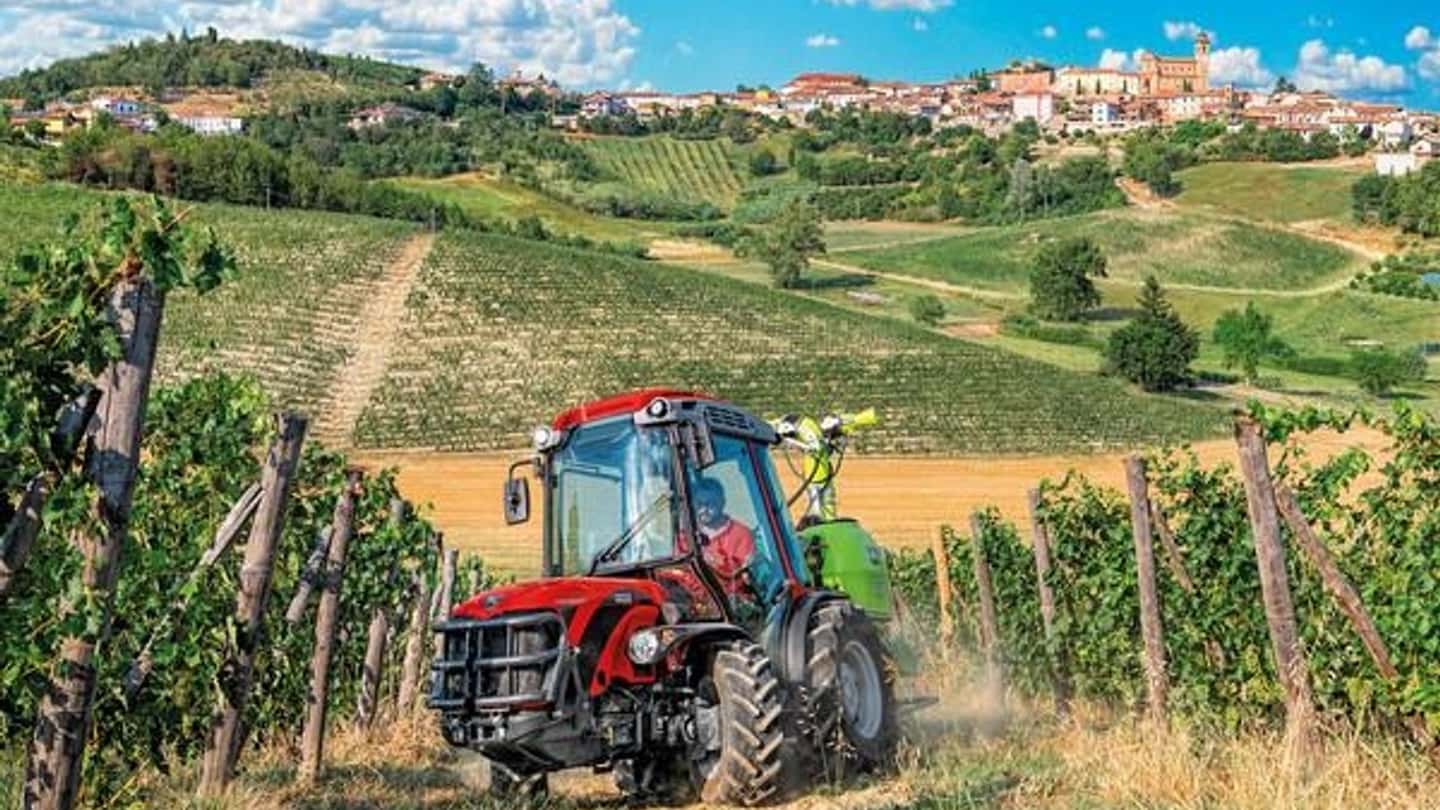 Agricoltura italiana al top in Ue: perché conta il 16,9%