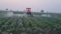 Quali irroratrici scegliere nel 2026 per trattare la patata?