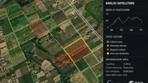Aiuti agricoltura 2025: 10 miliardi agli agricoltori