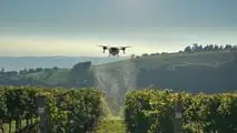 Il Consiglio UE apre all'irrorazione con drone dei fitofarmaci: ecco cosa prevede il Pacchetto Omnibus X e cosa cambia per gli agricoltori italian
