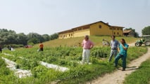 Sgravi contributivi 2026 per le aziende agricole nella ZES