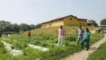 Sgravi contributivi 2026 per le aziende agricole nella ZES
