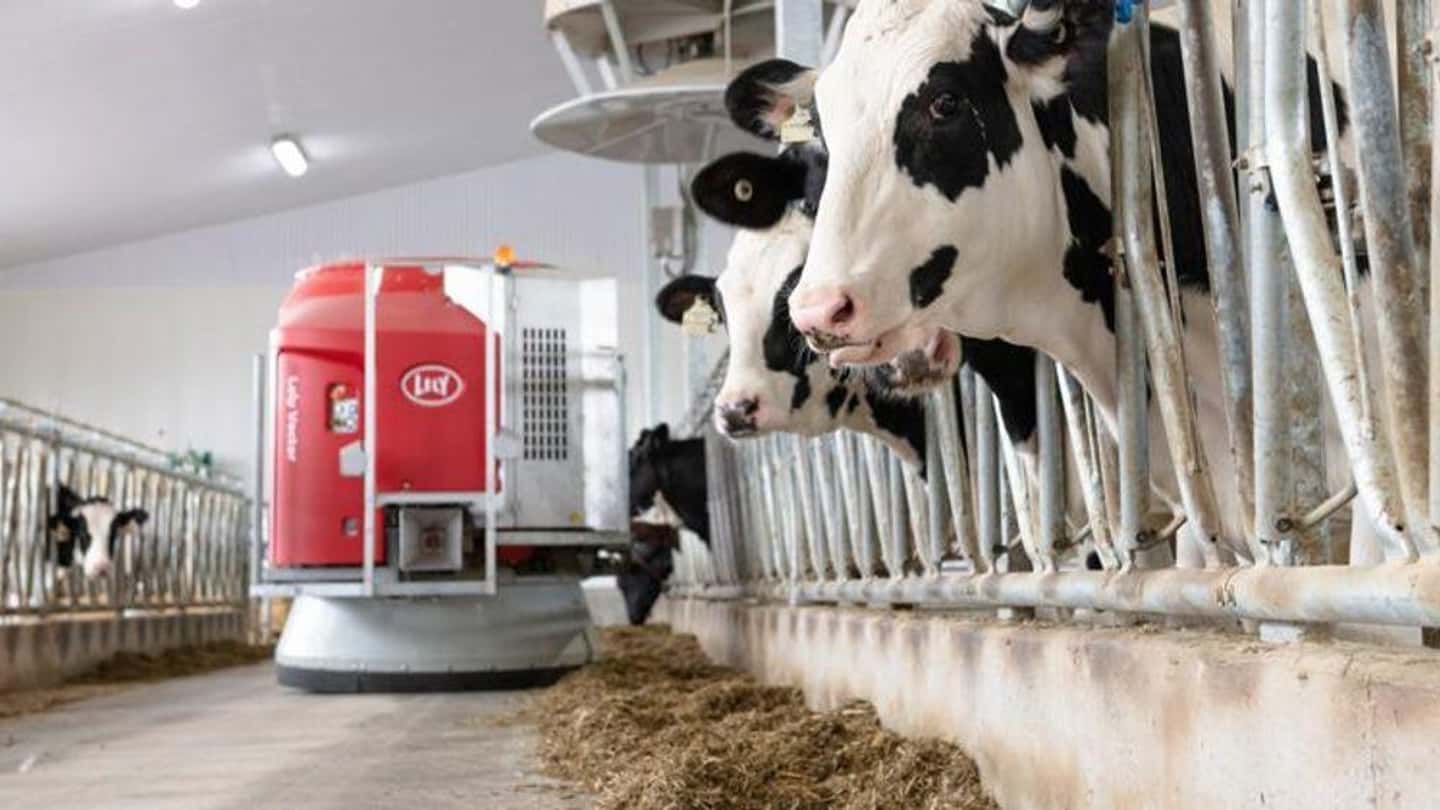 Formulare mangimi senza soia: strategie e fonti proteiche locali