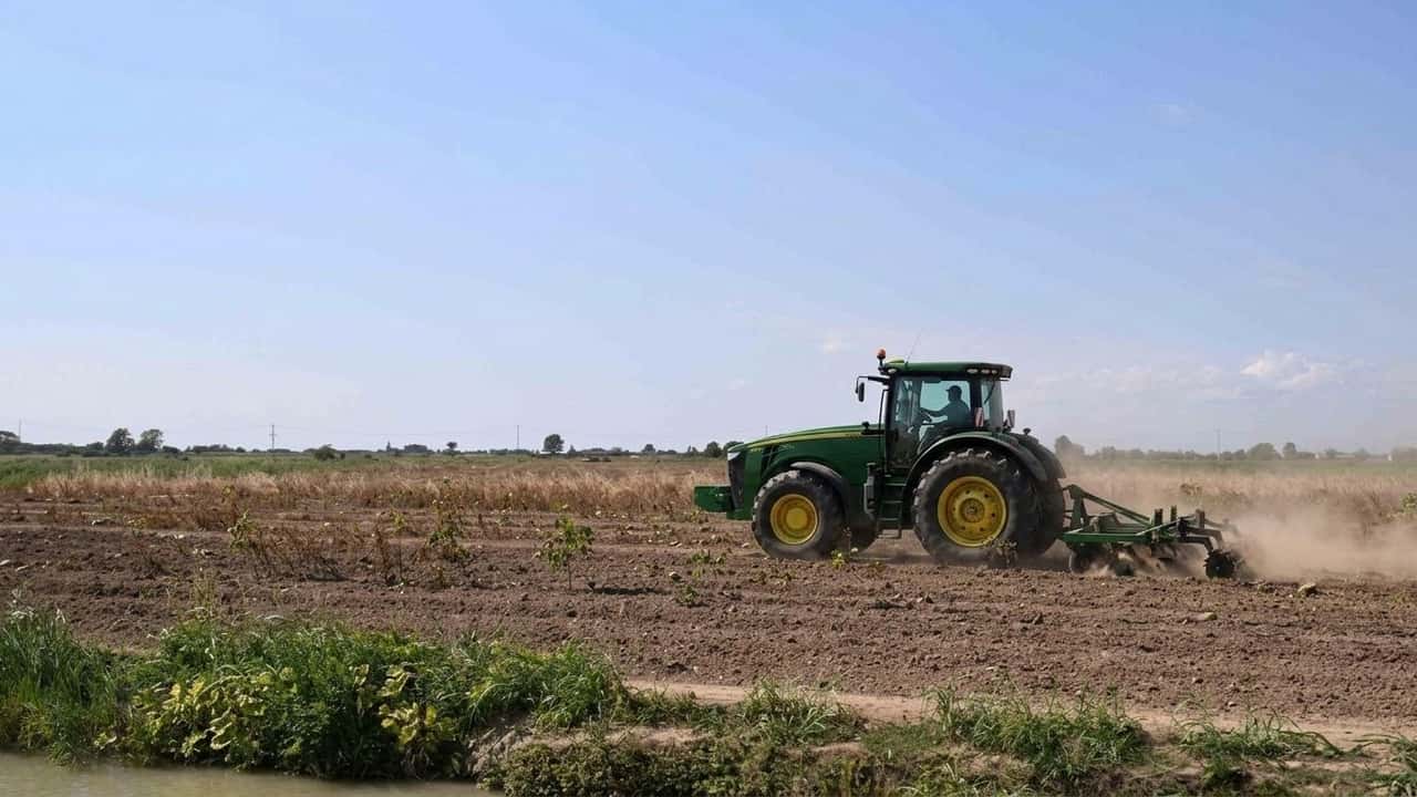 oltrepo-in-secca-semine-di-grano-e-colza-a-rischio