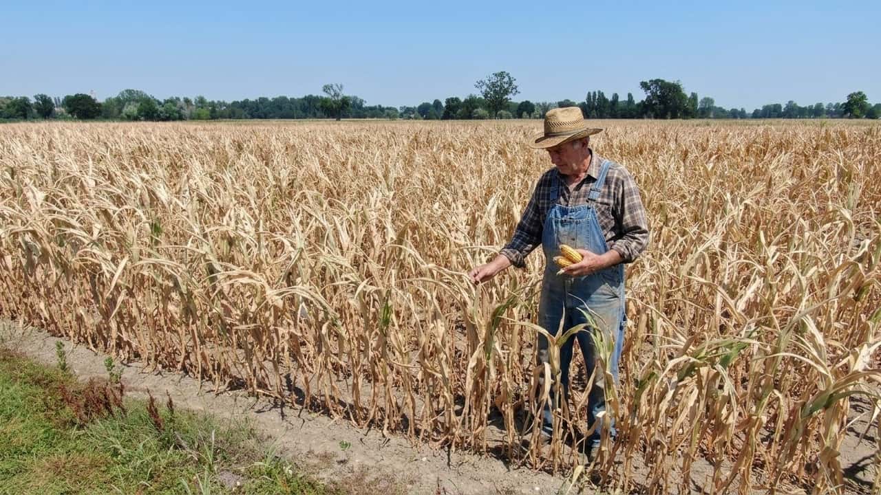 agricat-in-tilt-mille-imprese-senza-indennizzi-scadenze