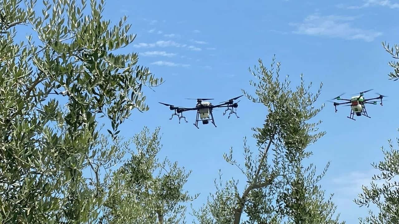 mezzo-ettaro-in-8-minuti-il-drone-che-combatte-la-mosca
