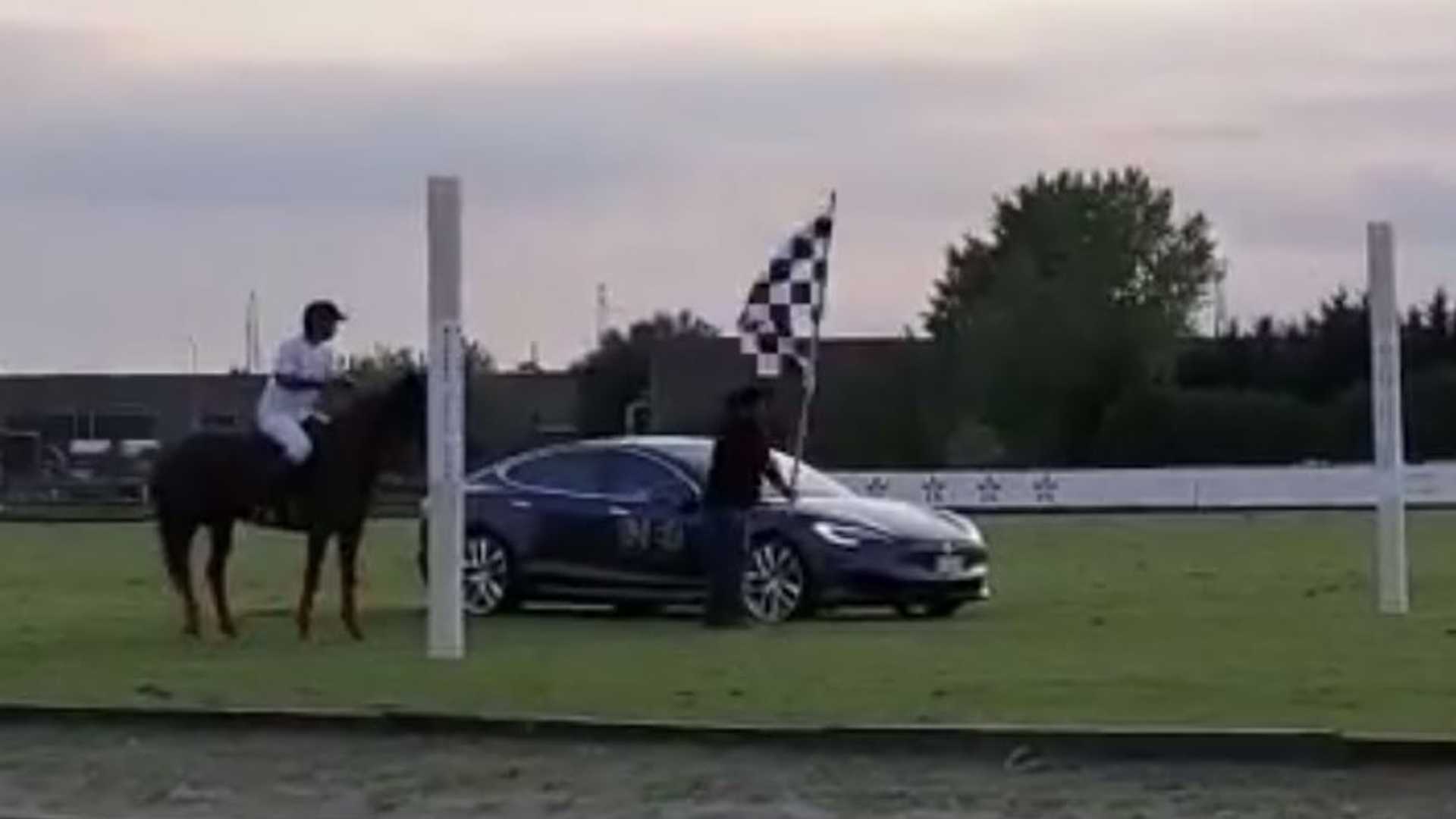 Watch Tesla Model S Versus A Horse In World's Most Unusual Race