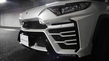 Toyota RAV4 Albermo XR51 bodykit