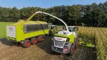 SHREDLAGE Claas11