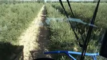 NEW HOLLAND BRAUD 9090X OLIVE