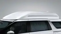 2020 Kia Carnival / Sedona Hi Limousine