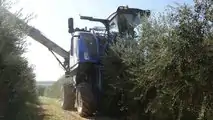 NEW HOLLAND BRAUD 9090X OLIVE
