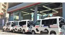 Mitsubishi Minicab-MiEV Cow Edition...Yes Cow Edition (w/video)